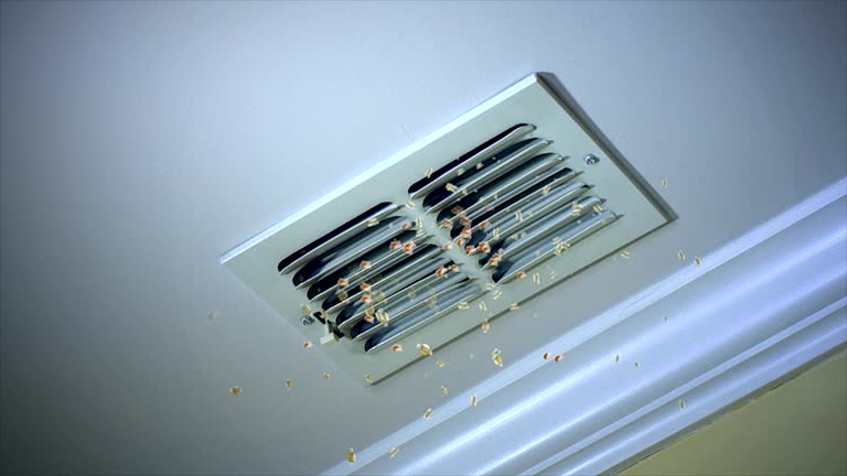 Best Residential Air Duct Cleaning  in Marion, AL